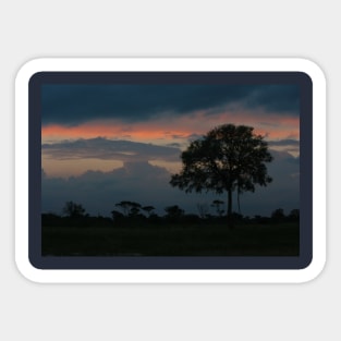 African Tree and Dramatic Night Sky Sticker